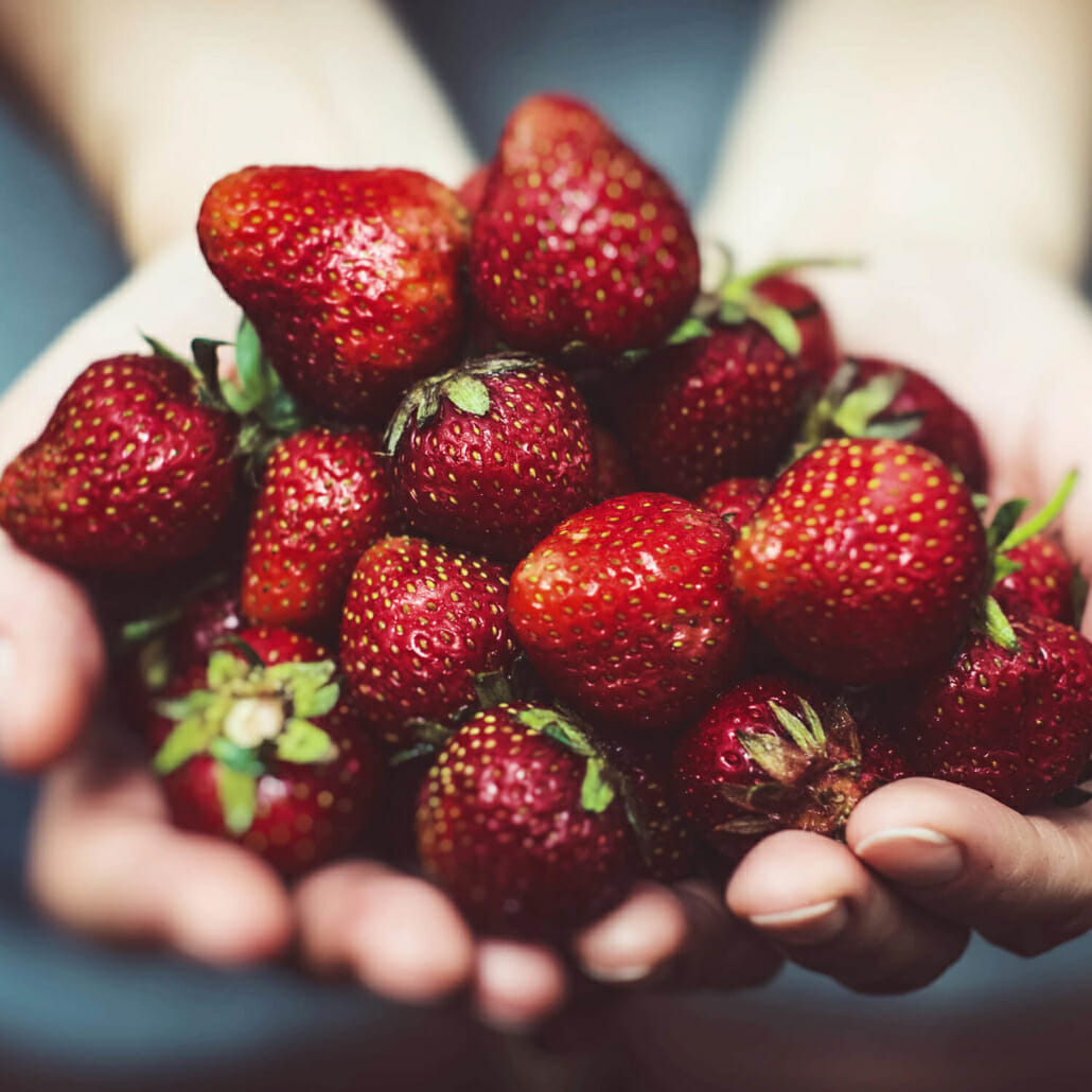 Nachhaltiger Markenaufbau trägt Früchte